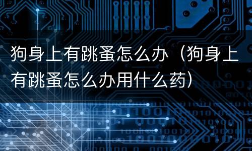 狗身上有跳蚤怎么办（狗身上有跳蚤怎么办用什么药）