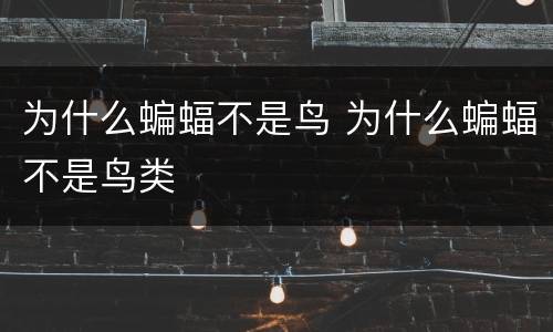 为什么蝙蝠不是鸟 为什么蝙蝠不是鸟类