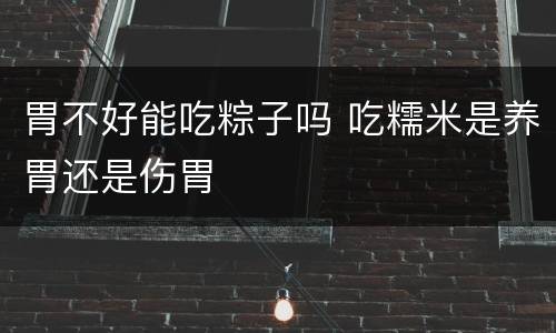 胃不好能吃粽子吗 吃糯米是养胃还是伤胃