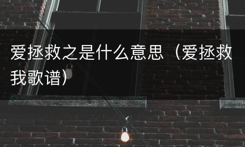爱拯救之是什么意思（爱拯救我歌谱）