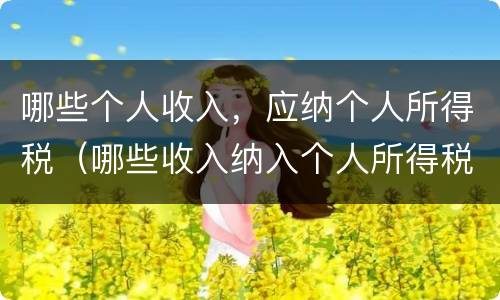 哪些个人收入，应纳个人所得税（哪些收入纳入个人所得税）