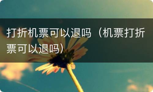 打折机票可以退吗（机票打折票可以退吗）