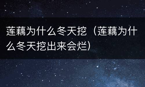 莲藕为什么冬天挖（莲藕为什么冬天挖出来会烂）