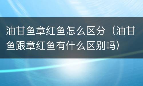 油甘鱼章红鱼怎么区分（油甘鱼跟章红鱼有什么区别吗）