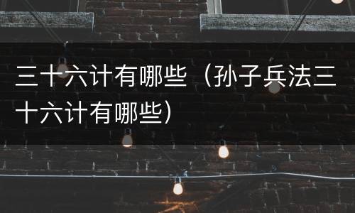 三十六计有哪些（孙子兵法三十六计有哪些）