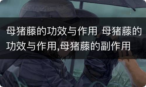母猪藤的功效与作用 母猪藤的功效与作用,母猪藤的副作用