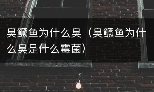 臭鳜鱼为什么臭（臭鳜鱼为什么臭是什么霉菌）