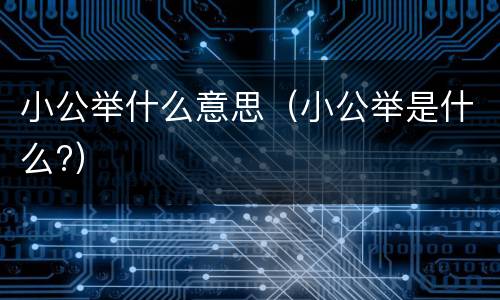 小公举什么意思（小公举是什么?）