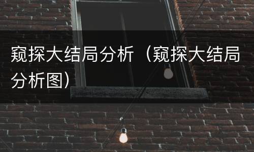 窥探大结局分析（窥探大结局分析图）