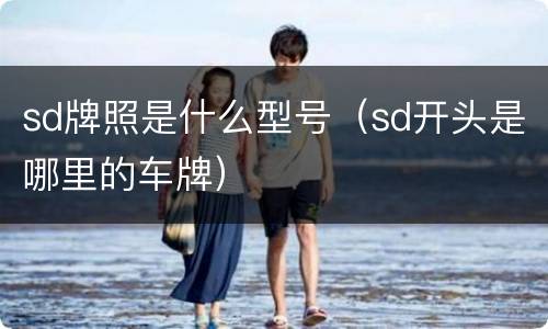sd牌照是什么型号（sd开头是哪里的车牌）