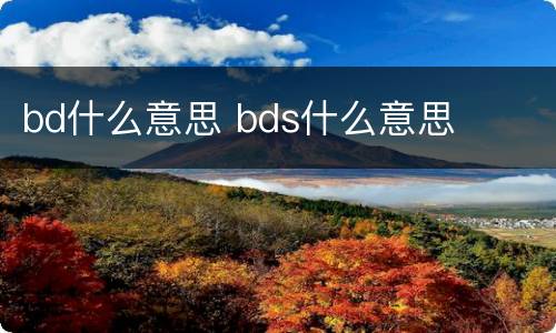 bd什么意思 bds什么意思