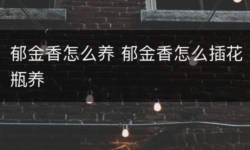 郁金香怎么养 郁金香怎么插花瓶养