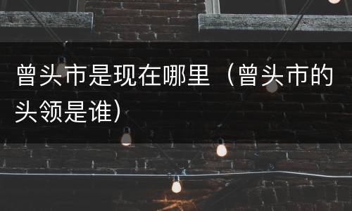 曾头市是现在哪里（曾头市的头领是谁）