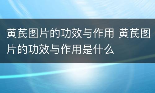 黄芪图片的功效与作用 黄芪图片的功效与作用是什么