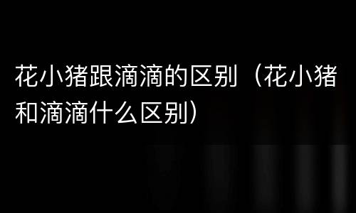 花小猪跟滴滴的区别（花小猪和滴滴什么区别）