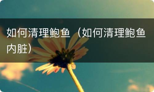 如何清理鲍鱼（如何清理鲍鱼内脏）