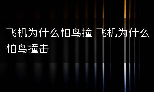 飞机为什么怕鸟撞 飞机为什么怕鸟撞击