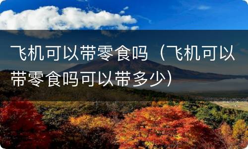 飞机可以带零食吗（飞机可以带零食吗可以带多少）