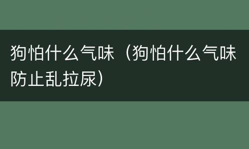 狗怕什么气味（狗怕什么气味防止乱拉尿）