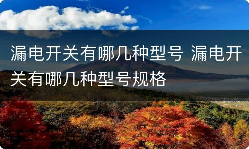漏电开关有哪几种型号 漏电开关有哪几种型号规格