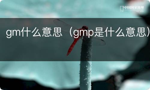 gm什么意思（gmp是什么意思）