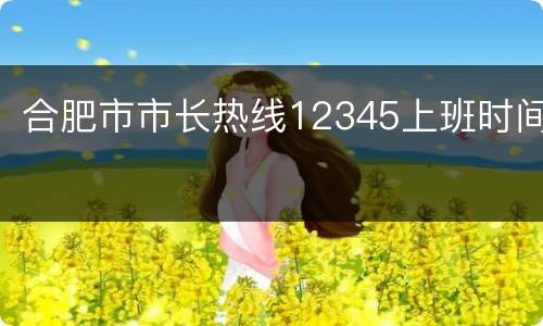 合肥市市长热线12345上班时间