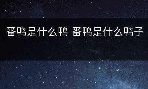 番鸭是什么鸭 番鸭是什么鸭子