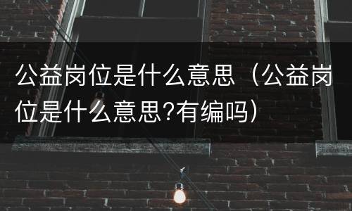 公益岗位是什么意思（公益岗位是什么意思?有编吗）