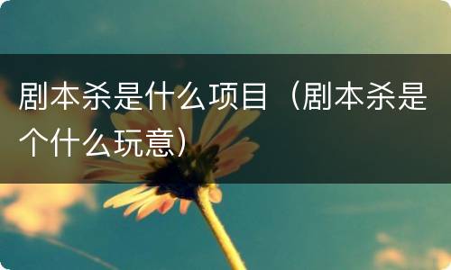 剧本杀是什么项目（剧本杀是个什么玩意）