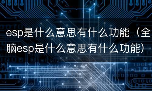 esp是什么意思有什么功能（全脑esp是什么意思有什么功能）
