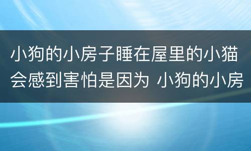 小狗的小房子睡在屋里的小猫会感到害怕是因为 小狗的小房子睡在屋里的小猫会感到害怕为什么