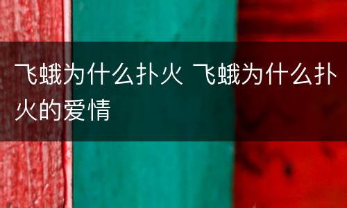飞蛾为什么扑火 飞蛾为什么扑火的爱情