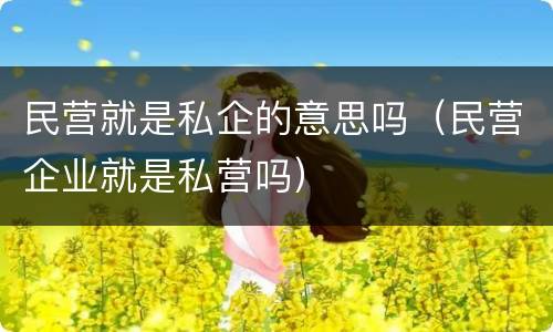 民营就是私企的意思吗（民营企业就是私营吗）