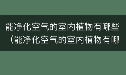 能净化空气的室内植物有哪些（能净化空气的室内植物有哪些散尾葵）