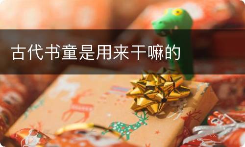 古代书童是用来干嘛的