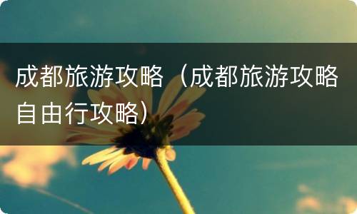 成都旅游攻略（成都旅游攻略自由行攻略）