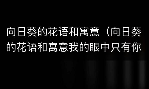 向日葵的花语和寓意（向日葵的花语和寓意我的眼中只有你）