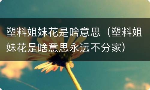 塑料姐妹花是啥意思（塑料姐妹花是啥意思永远不分家）