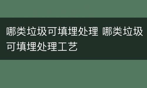 哪类垃圾可填埋处理 哪类垃圾可填埋处理工艺