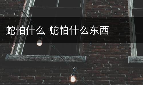 蛇怕什么 蛇怕什么东西