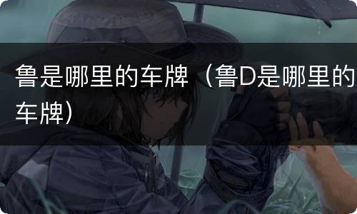 鲁是哪里的车牌（鲁D是哪里的车牌）