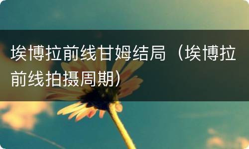 埃博拉前线甘姆结局（埃博拉前线拍摄周期）