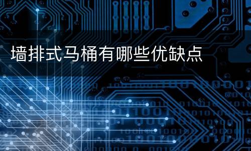 墙排式马桶有哪些优缺点