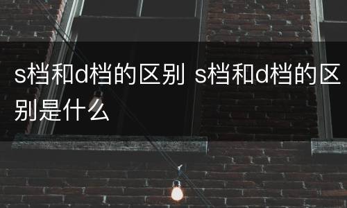 s档和d档的区别 s档和d档的区别是什么