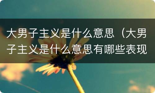 大男子主义是什么意思（大男子主义是什么意思有哪些表现）
