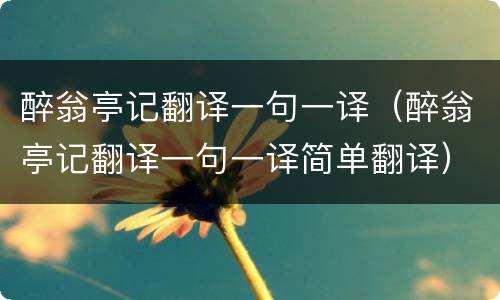 醉翁亭记翻译一句一译（醉翁亭记翻译一句一译简单翻译）