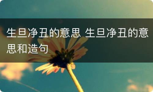 生旦净丑的意思 生旦净丑的意思和造句