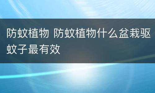 防蚊植物 防蚊植物什么盆栽驱蚊子最有效