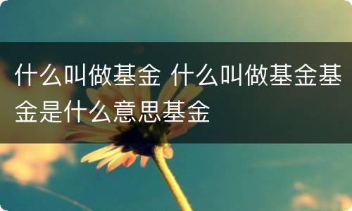什么叫做基金 什么叫做基金基金是什么意思基金