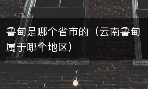 鲁甸是哪个省市的（云南鲁甸属于哪个地区）